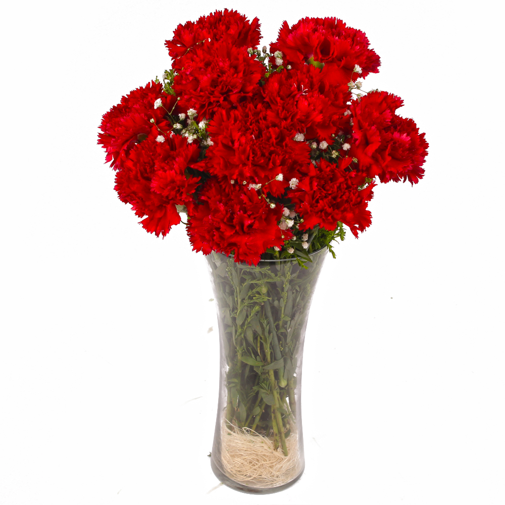 Classical Vase of Ten Love Red Carnations
