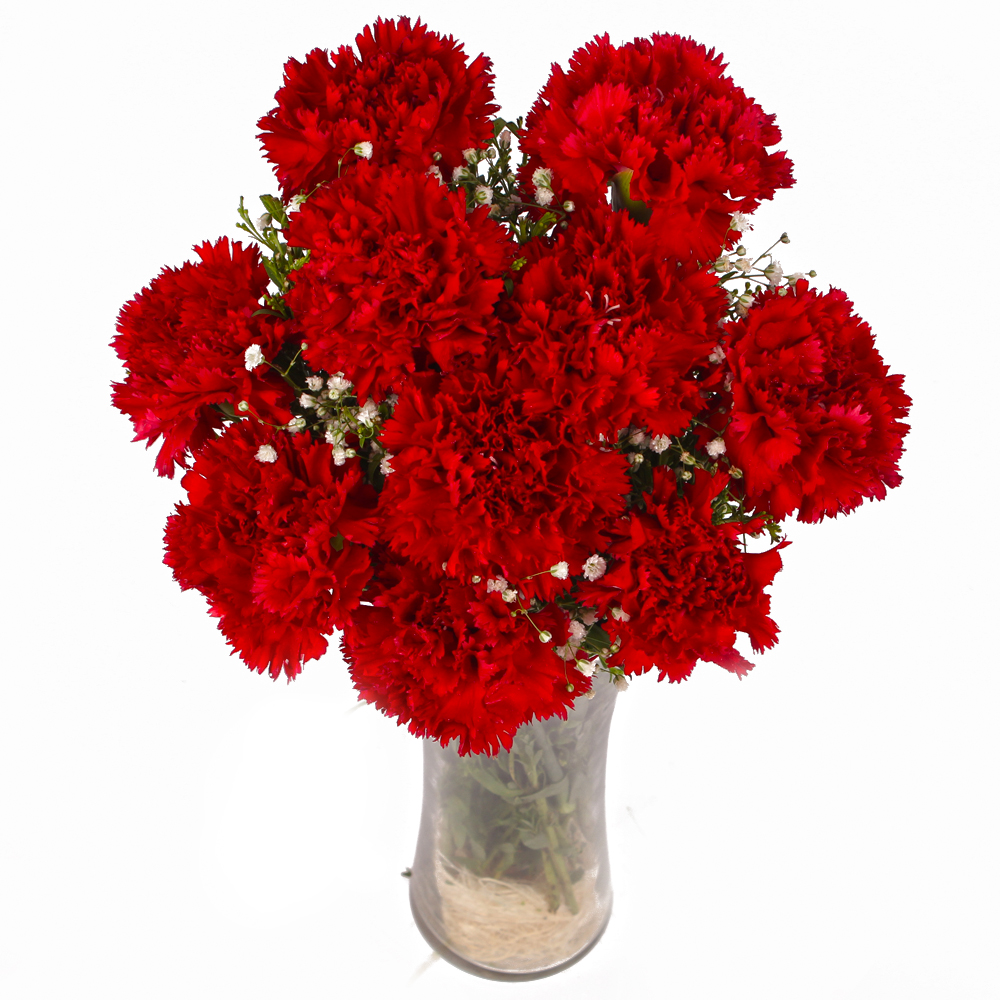 Classical Vase of Ten Love Red Carnations