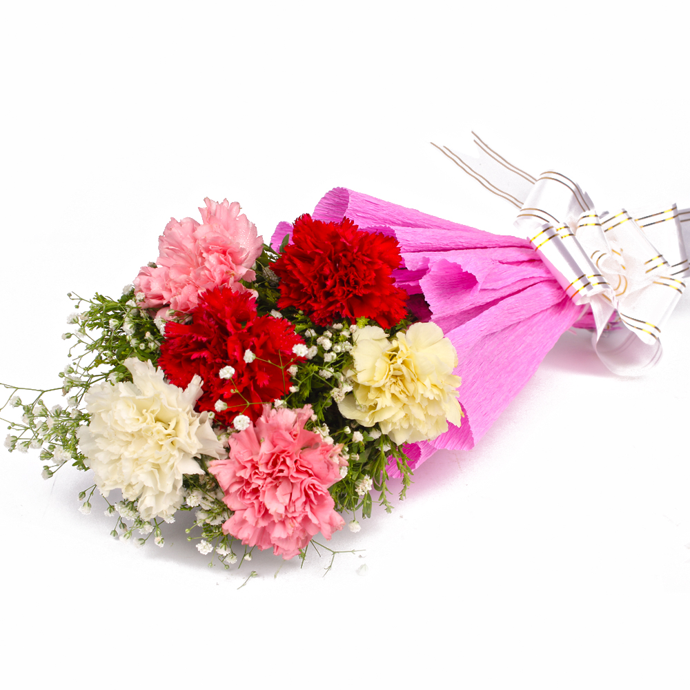 Fresh 6 Colorful Carnations in Tissue Wrapped