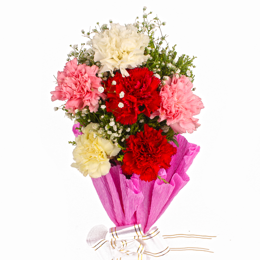 Fresh 6 Colorful Carnations in Tissue Wrapped