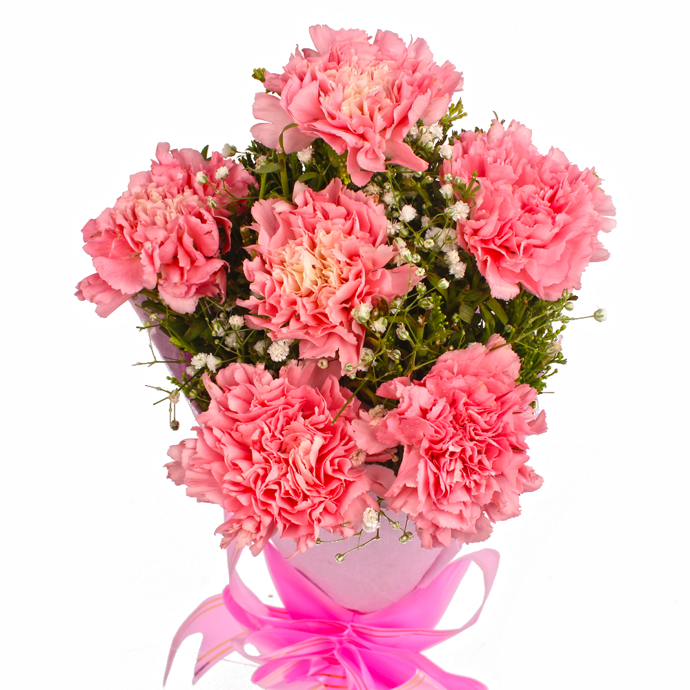 Bouquet of 6 Pink Carnations in Tissue Wrapped