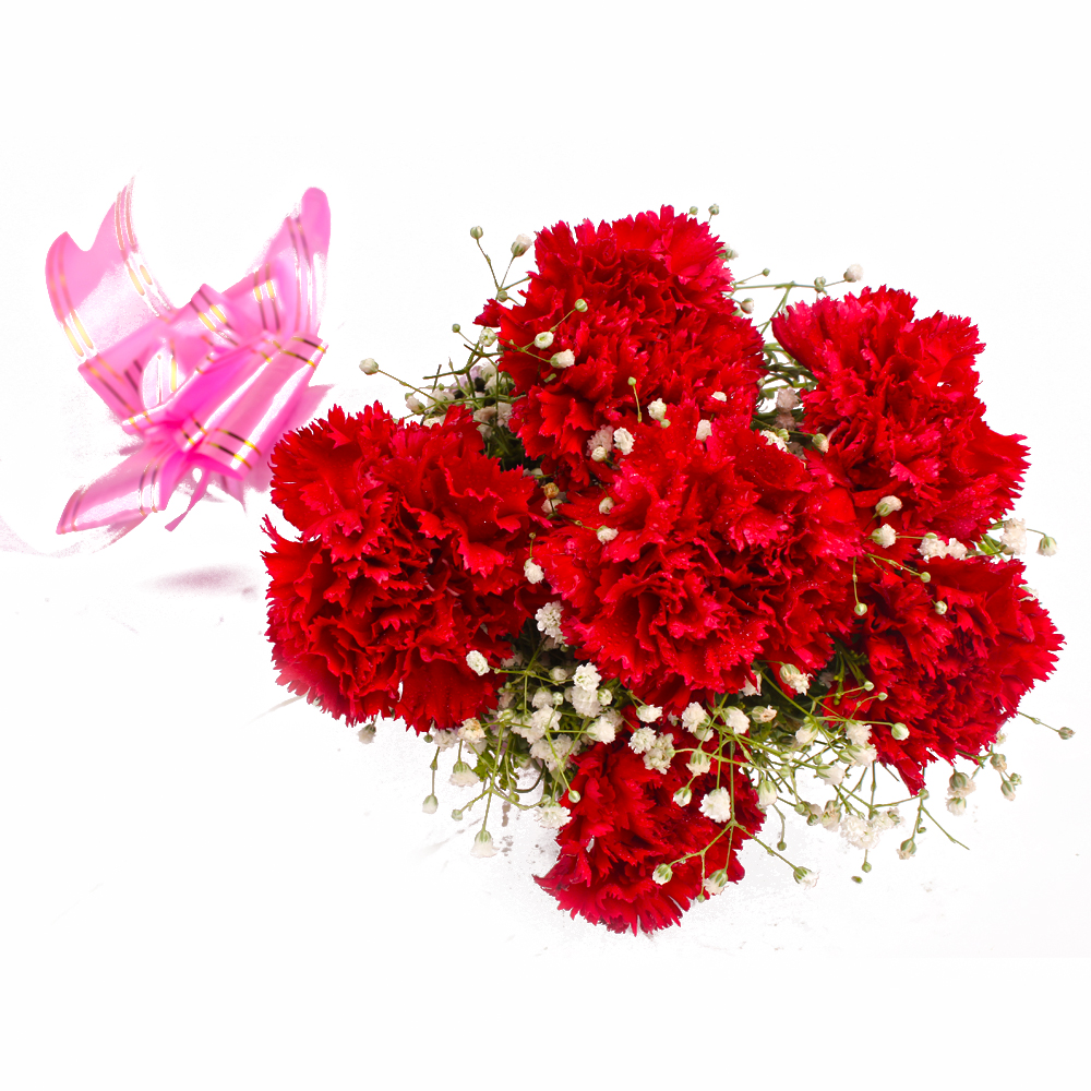Bouquet of Fresh 6 Red Carnations in Tissue Wrapped