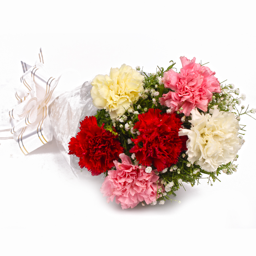 Fresh 6 Colorful Carnations in Cellophane Packing