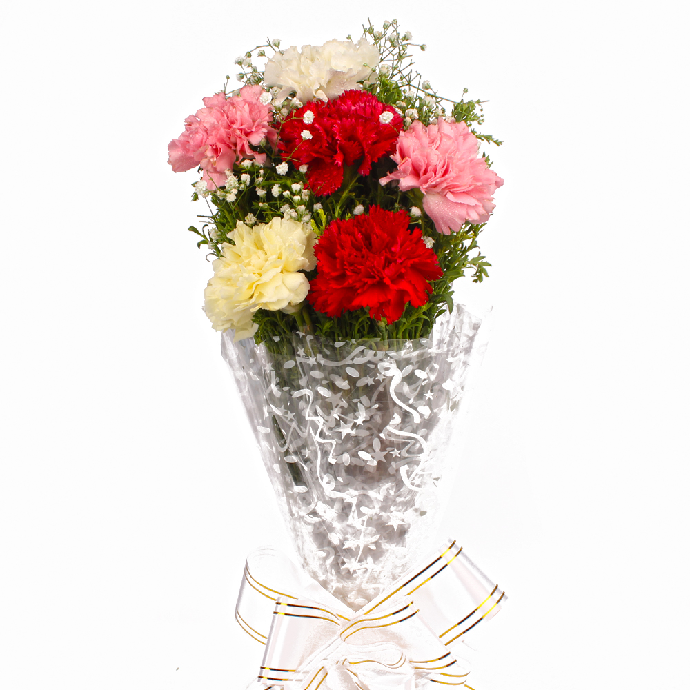 Fresh 6 Colorful Carnations in Cellophane Packing