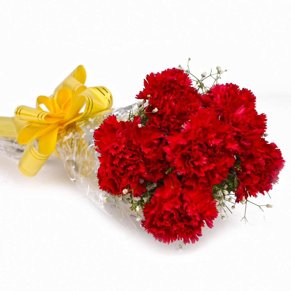 Bouquet of Fresh 6 Red Carnations Cellophane Wrapped