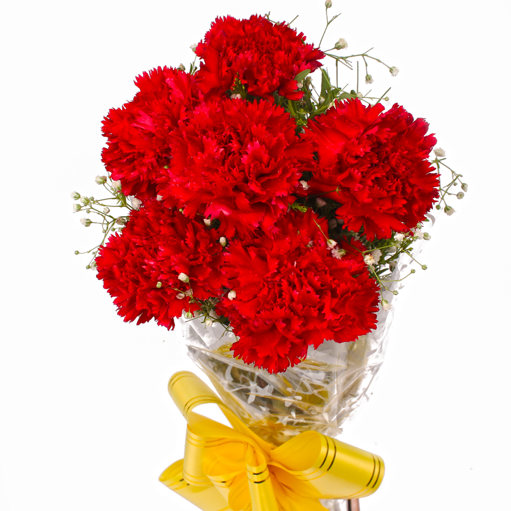 Bouquet of Fresh 6 Red Carnations Cellophane Wrapped