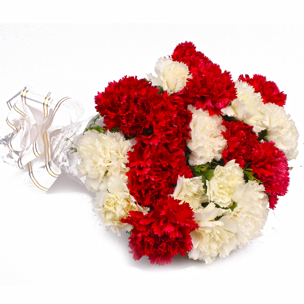Twenty Red and White Carnations Bunch