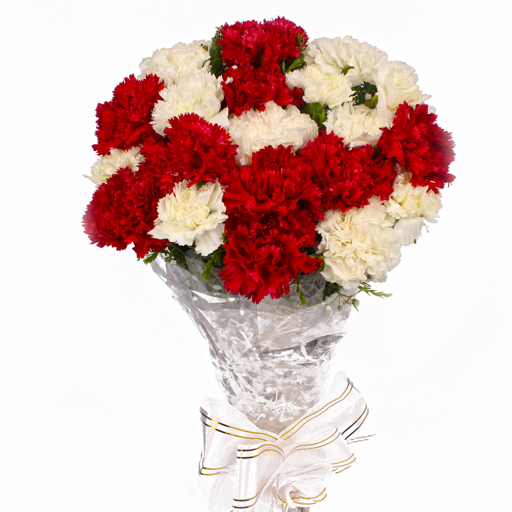 Twenty Red and White Carnations Bunch