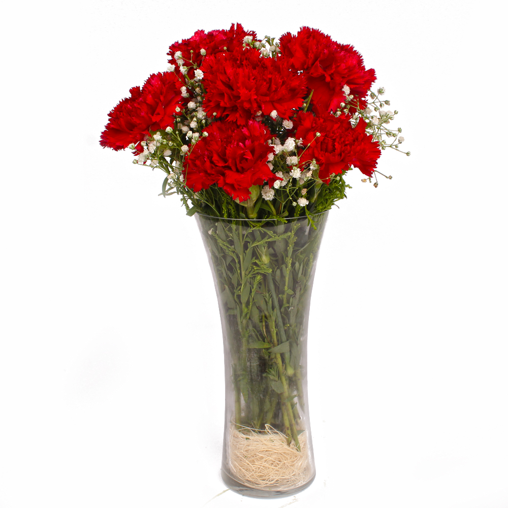 Classic Vase with Red Carnations