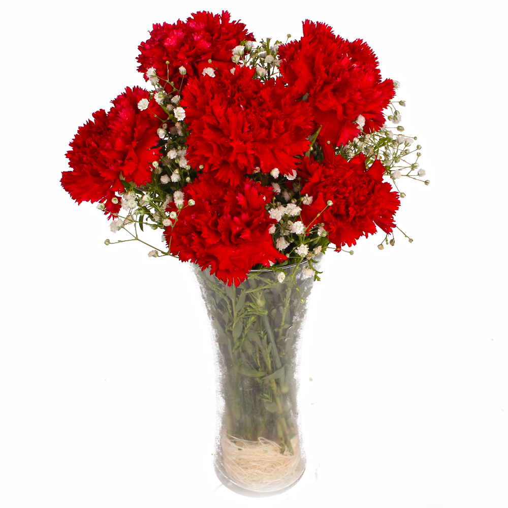 Classic Vase with Red Carnations