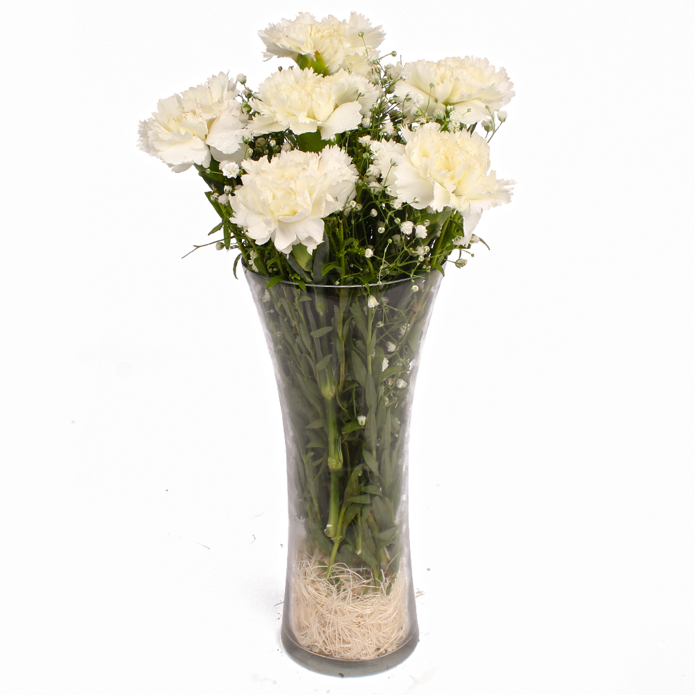 Six White Carnations in Vase