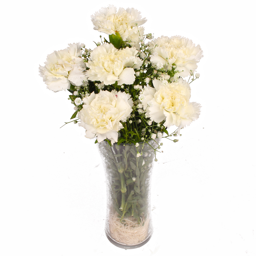 Six White Carnations in Vase