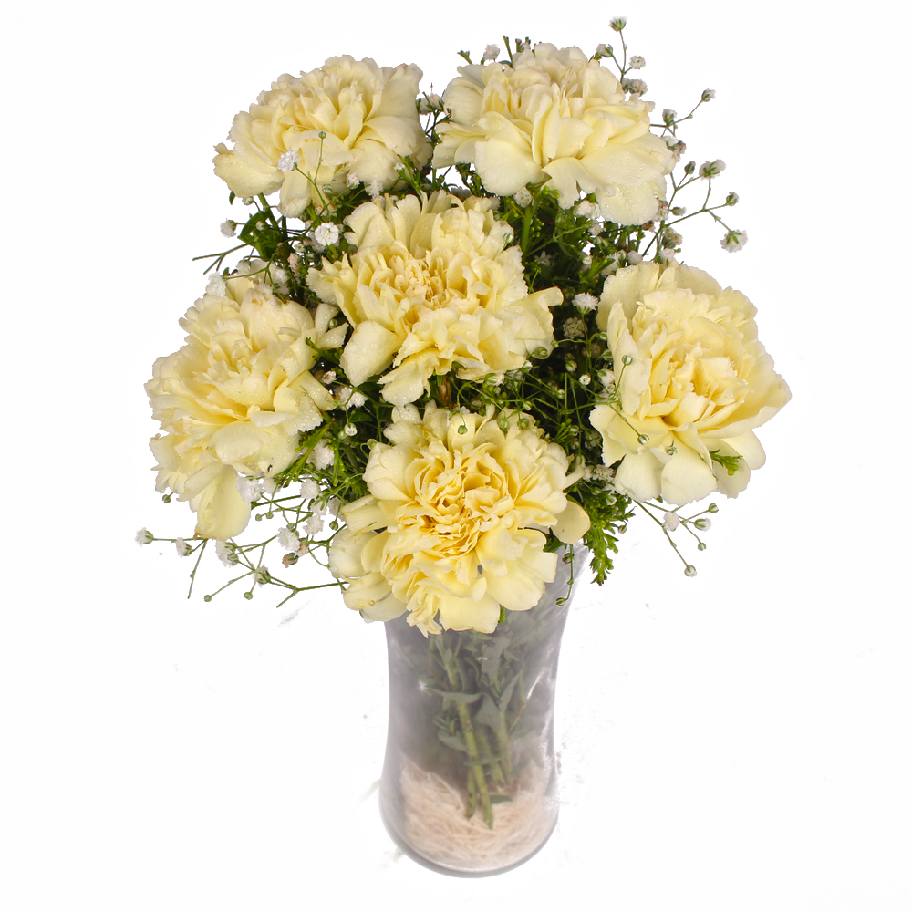Six Yellow Carnations in Classic Vase