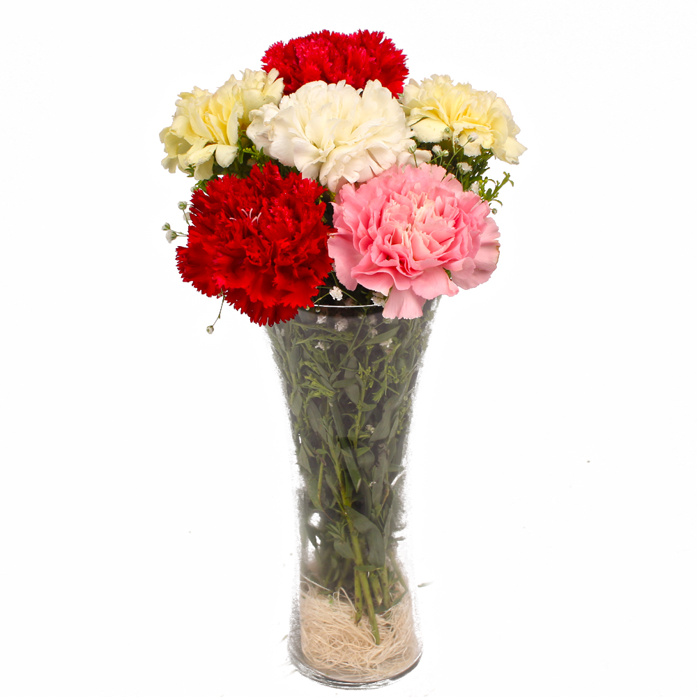 Six Assorted Carnations in Classic Vase