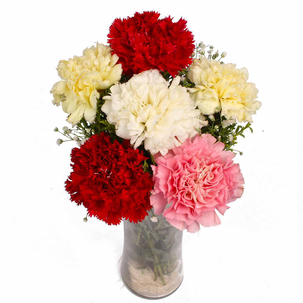 Six Assorted Carnations in Classic Vase