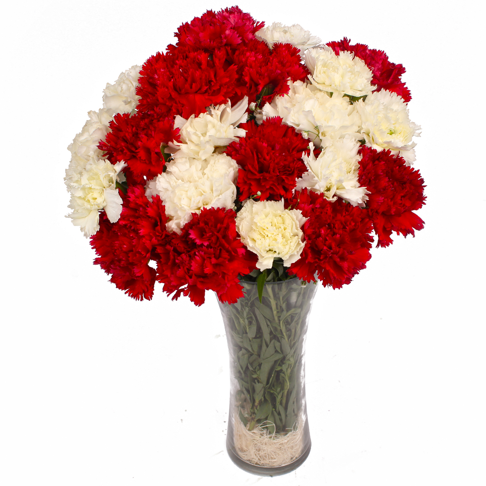 Twenty Four Red and White Carnations in Glass Vase