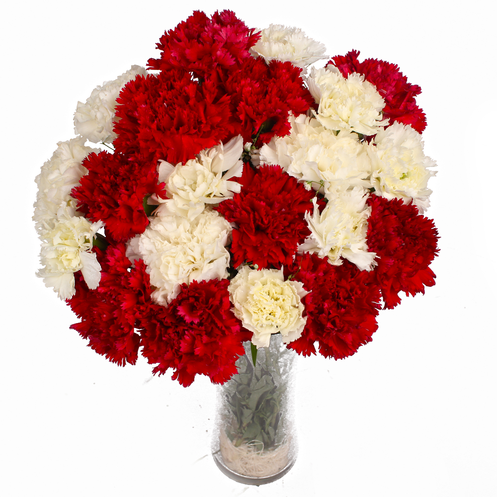 Twenty Four Red and White Carnations in Glass Vase