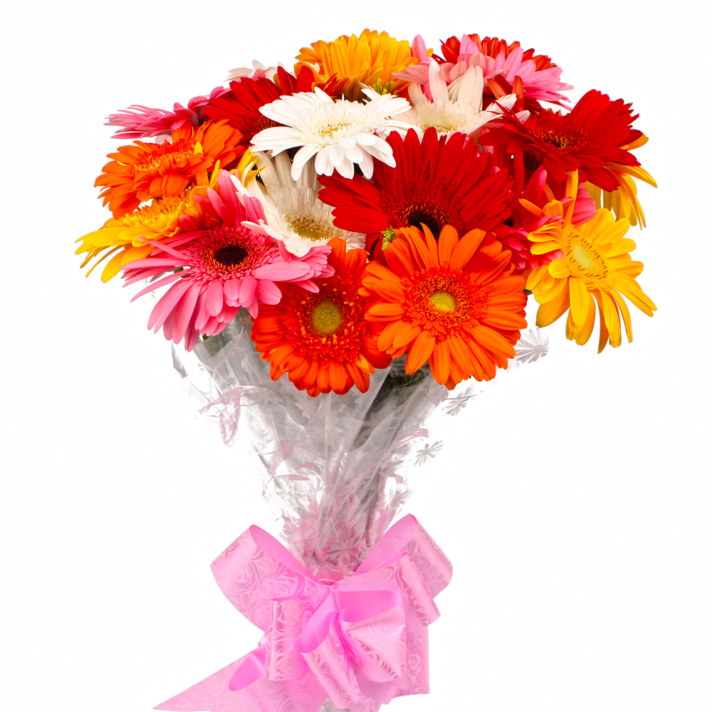 Eighteen Multi Color Gerberas Bouquet Cellophane Wrapped