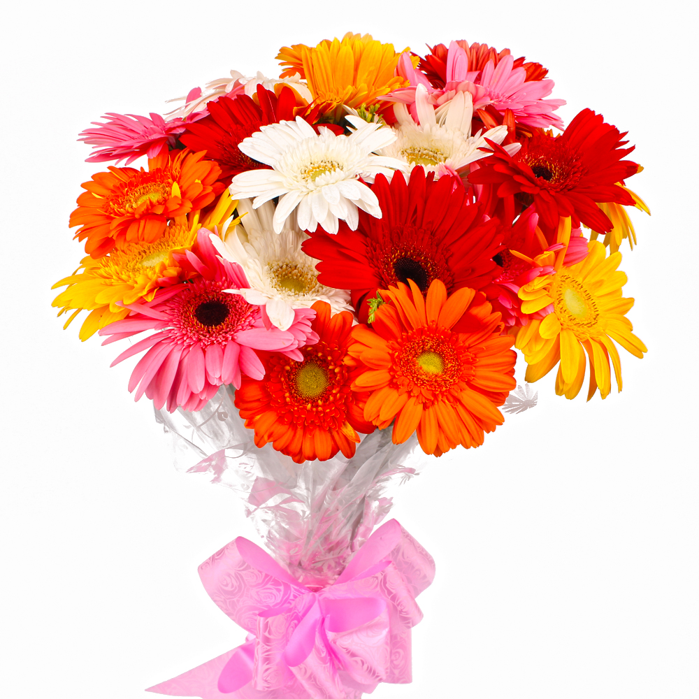 Eighteen Multi Color Gerberas Bouquet Cellophane Wrapped