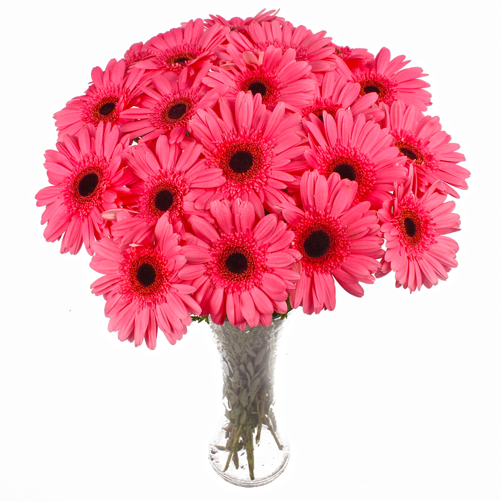 Eighteen Pink Gerberas arranged in Glass Vase