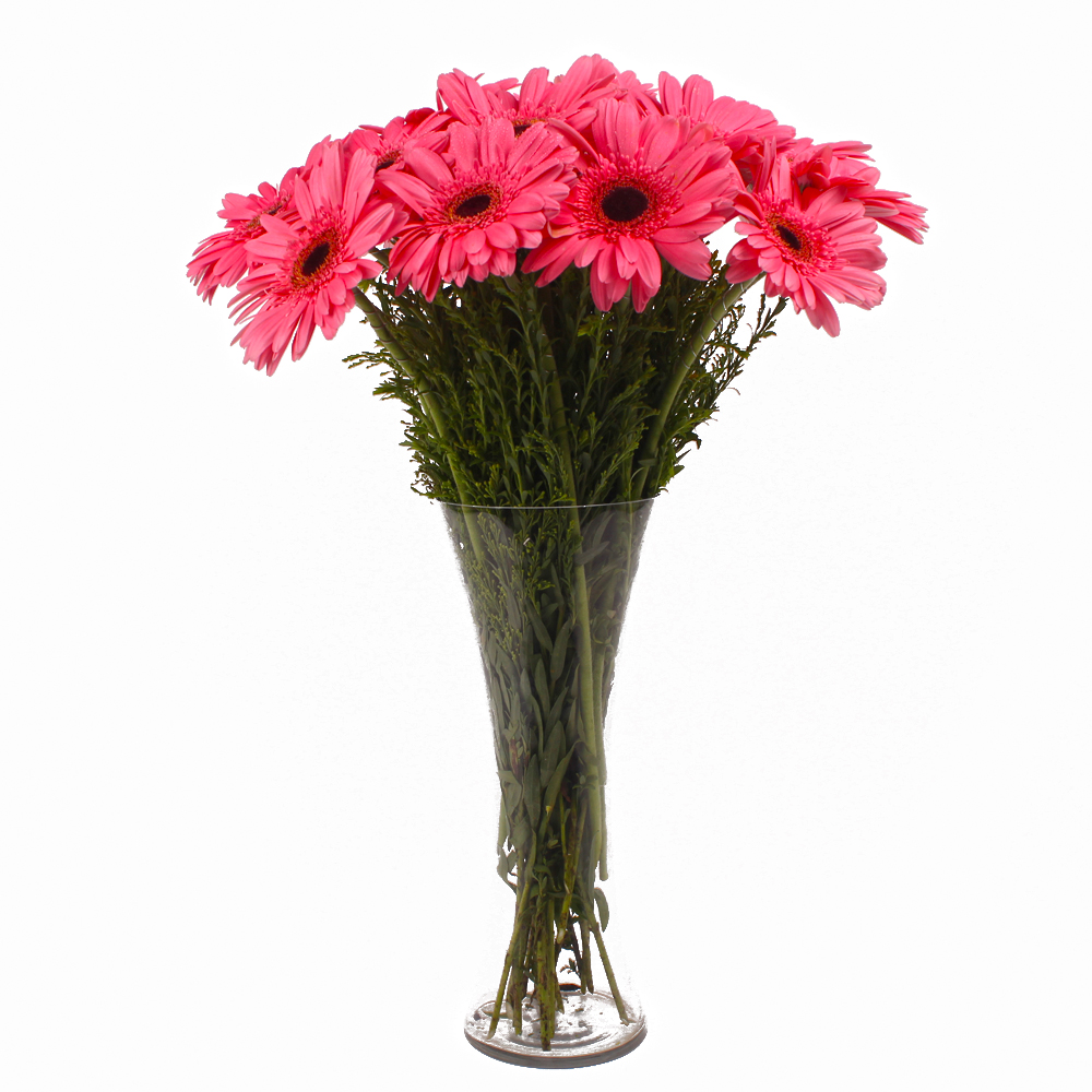 Eighteen Pink Gerberas arranged in Glass Vase