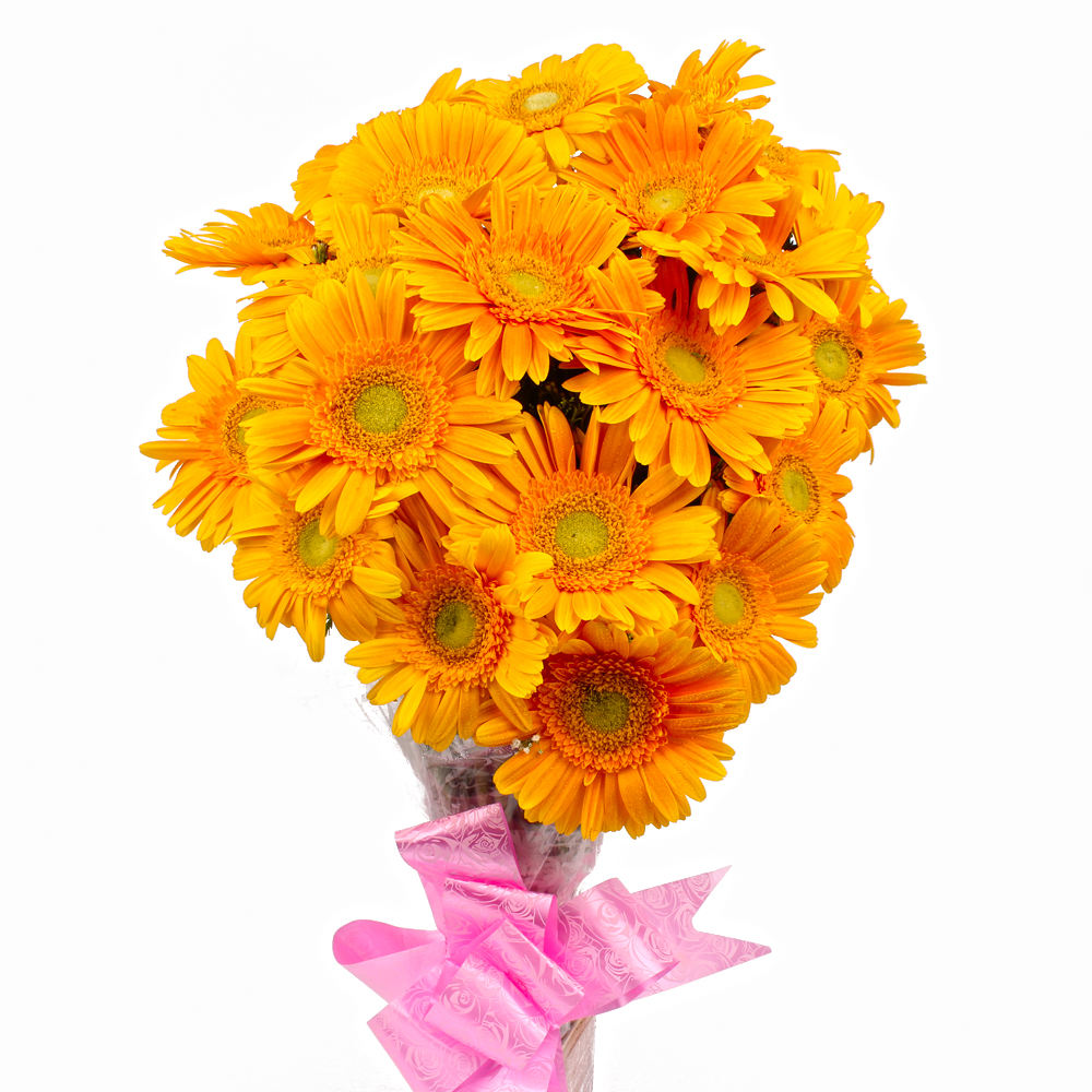 Cellophane Packing 18 Yellow Gerberas Bouquet