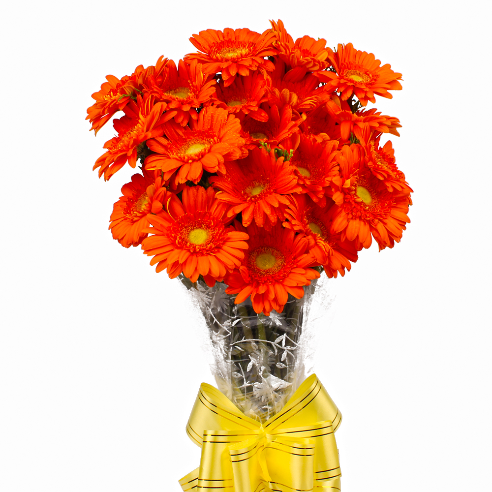 Twenty Orange Gerberas Bouquet with Cellophane Packing