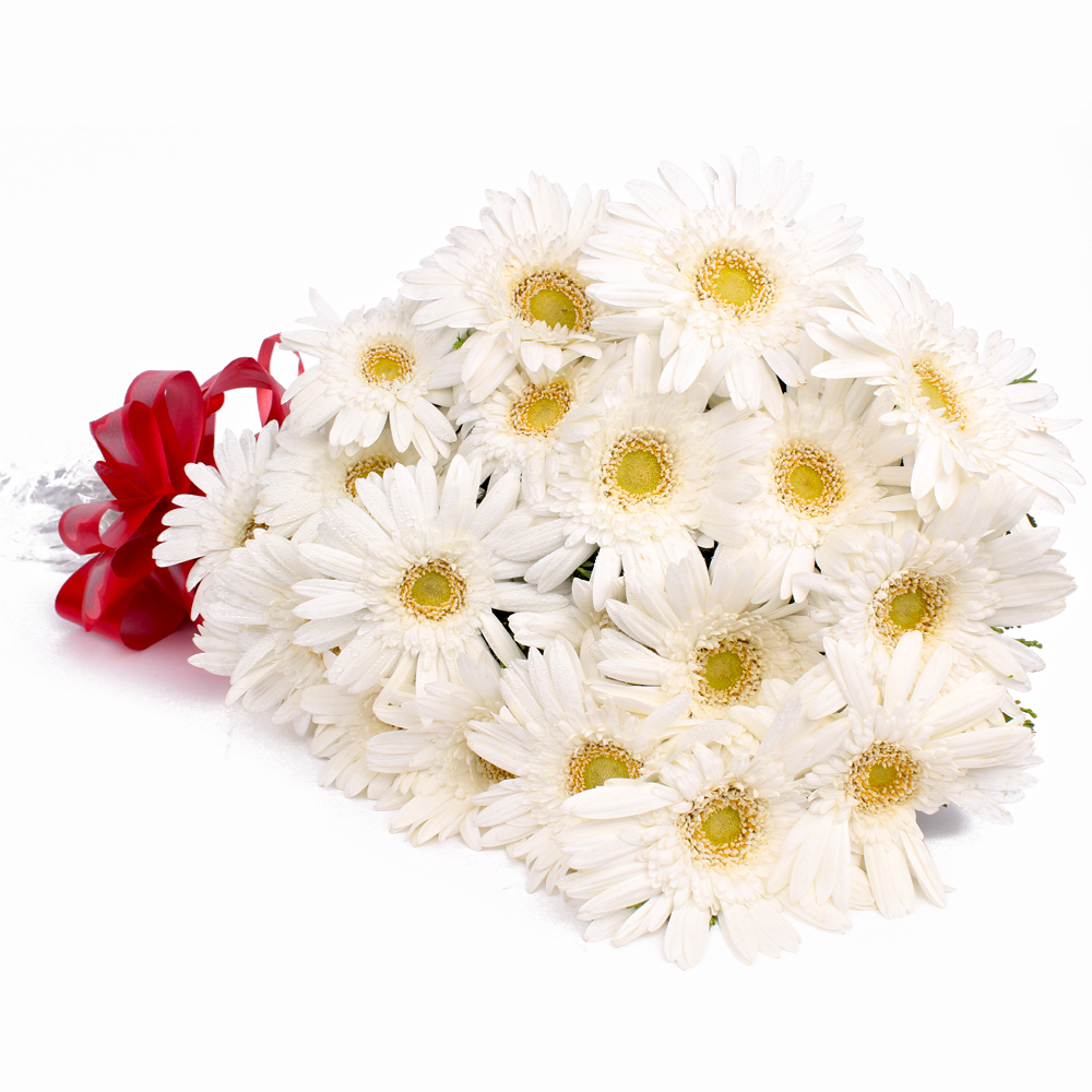 Twenty White Gerberas Hand Tied Bouquet