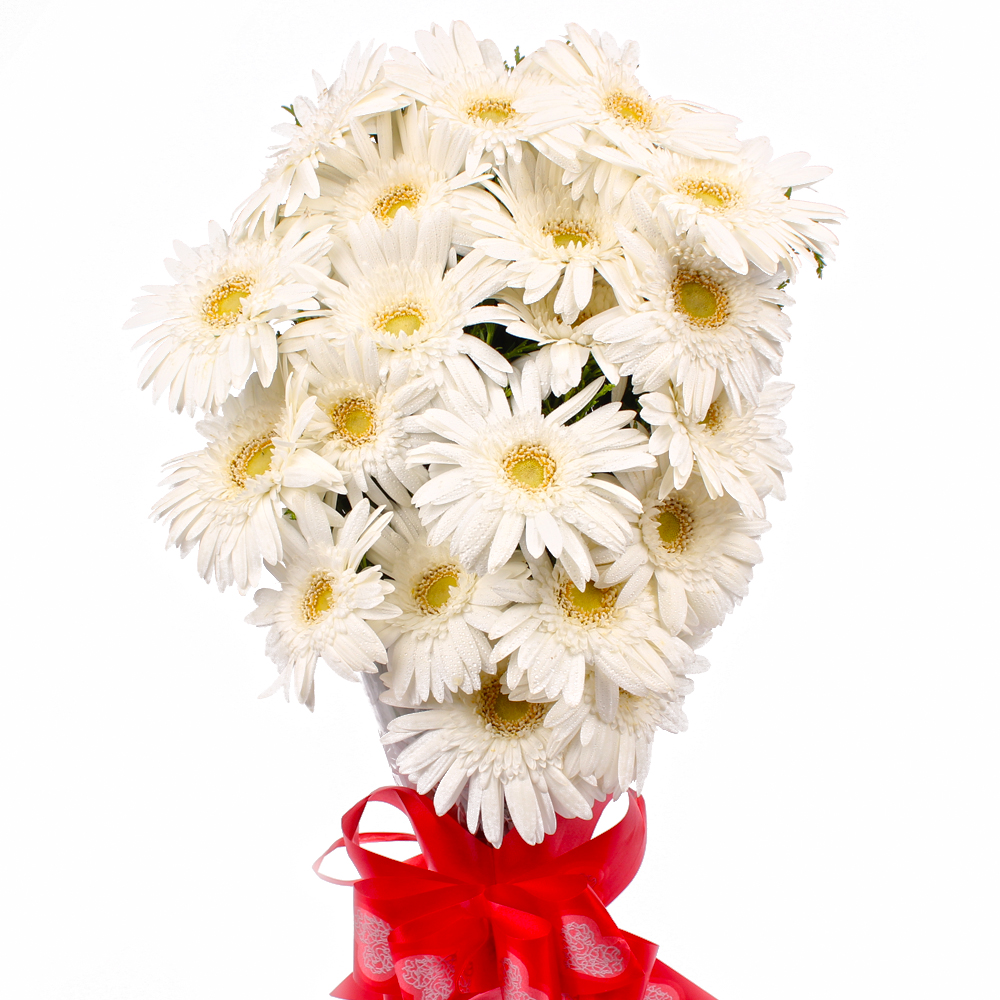 Twenty White Gerberas Hand Tied Bouquet