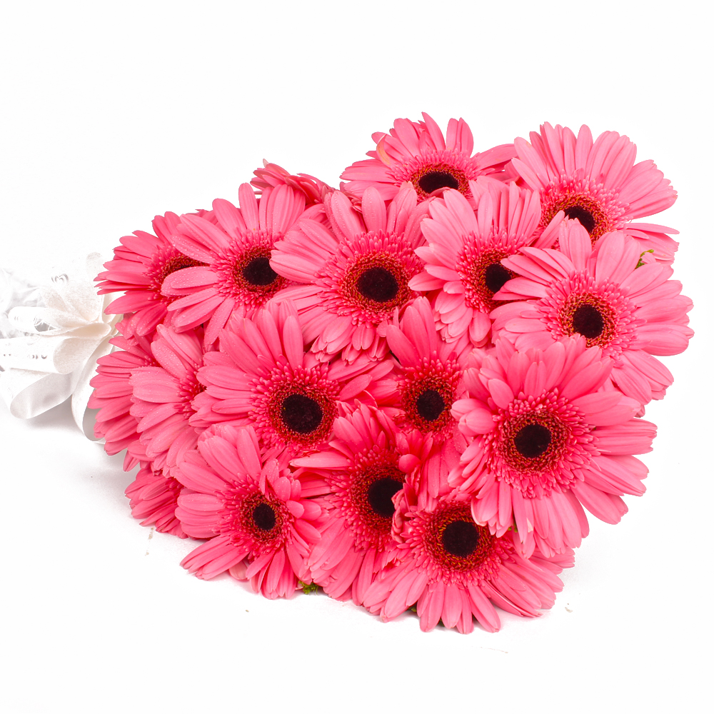 Twenty Pink Gerberas Bouquet Online