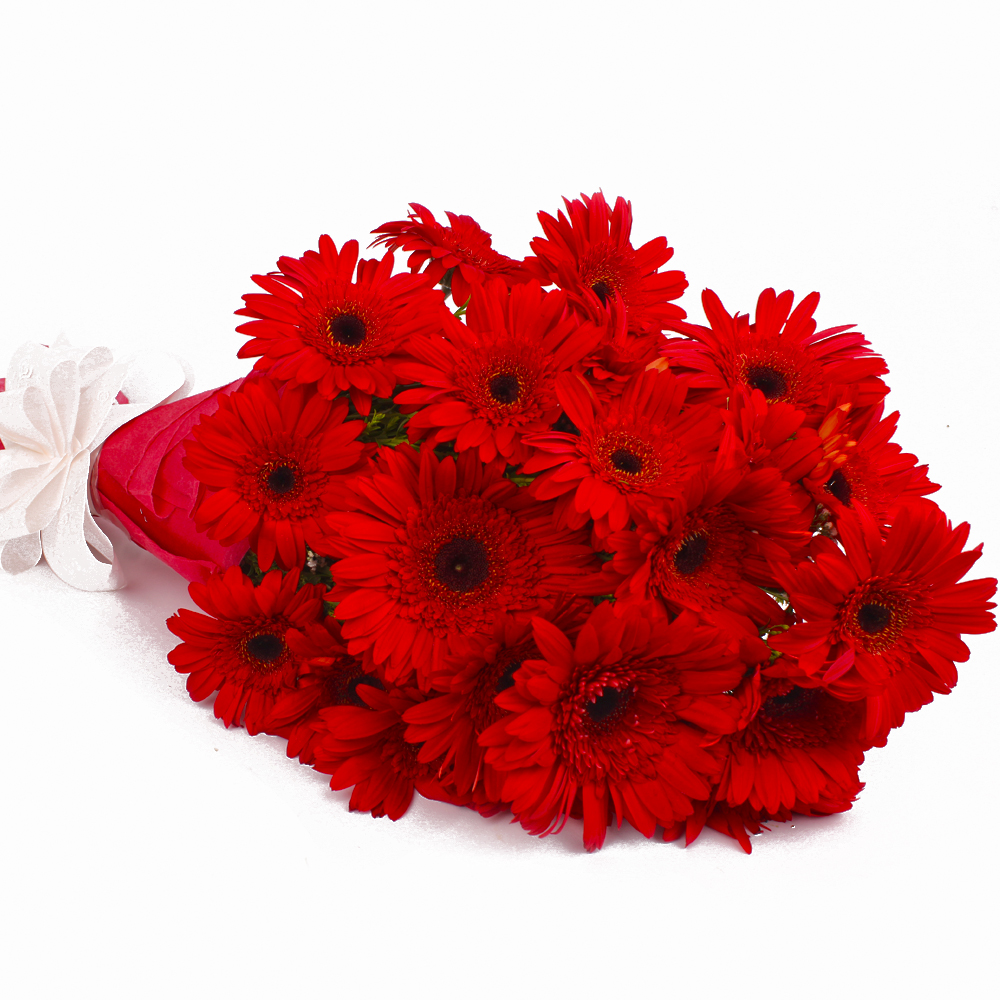 Bouquet of 20 Red Gerberas with Tissue Wrapping
