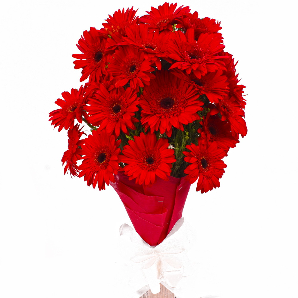 Bouquet of 20 Red Gerberas with Tissue Wrapping
