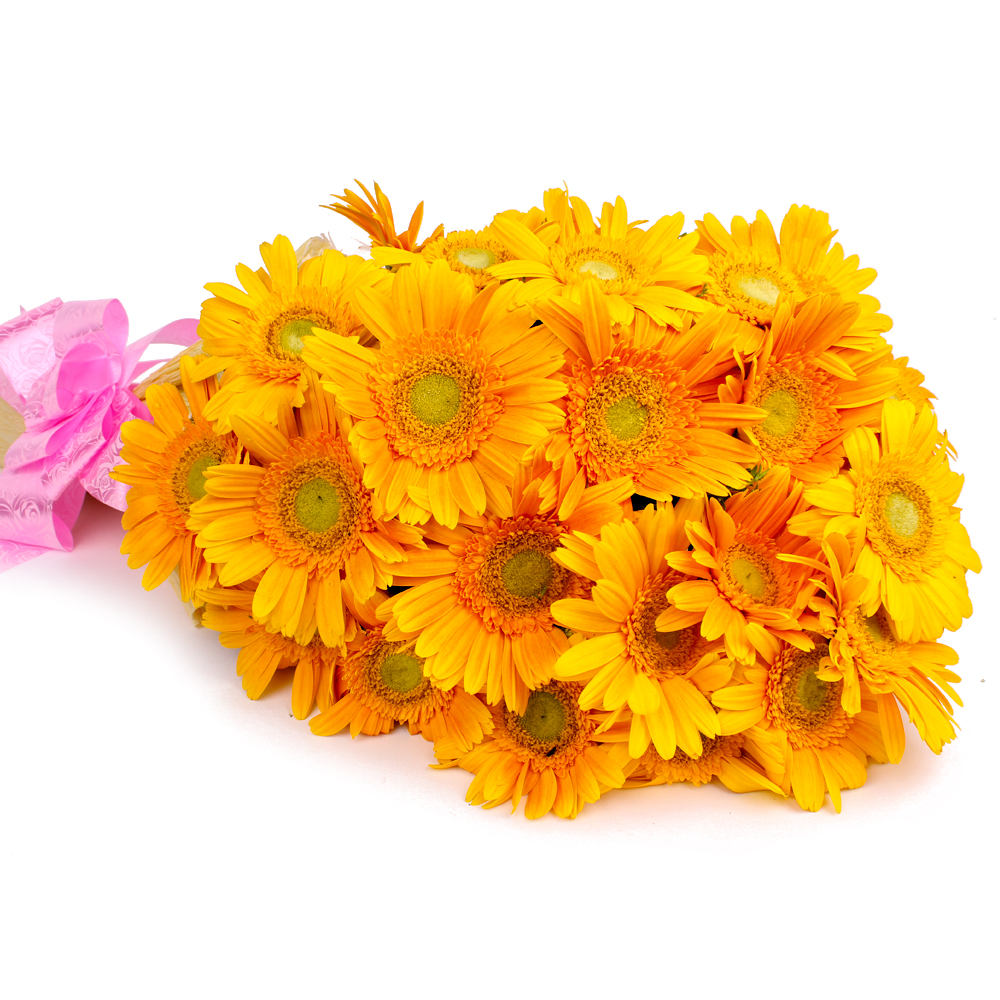 Bouquet of 20 Yellow Gerberas with Tissue Wrapping