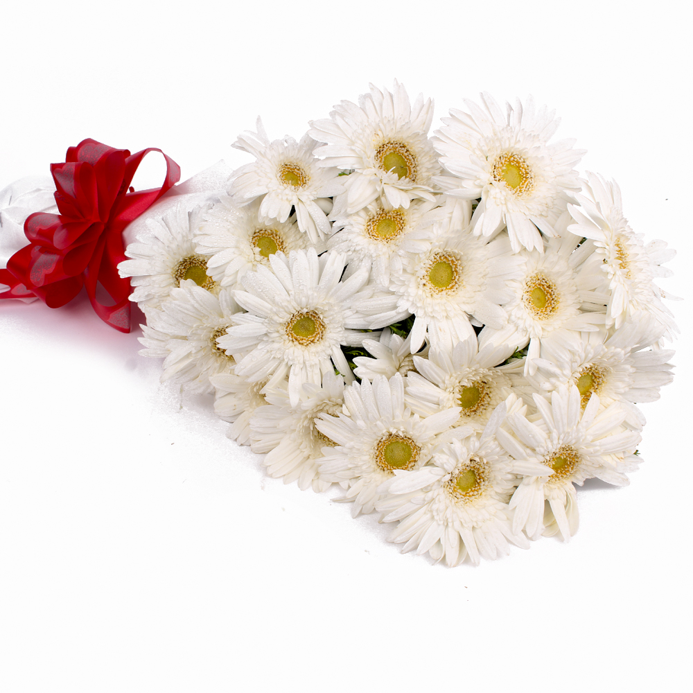 Bouquet of 20 White Gerberas with Tissue Wrapping