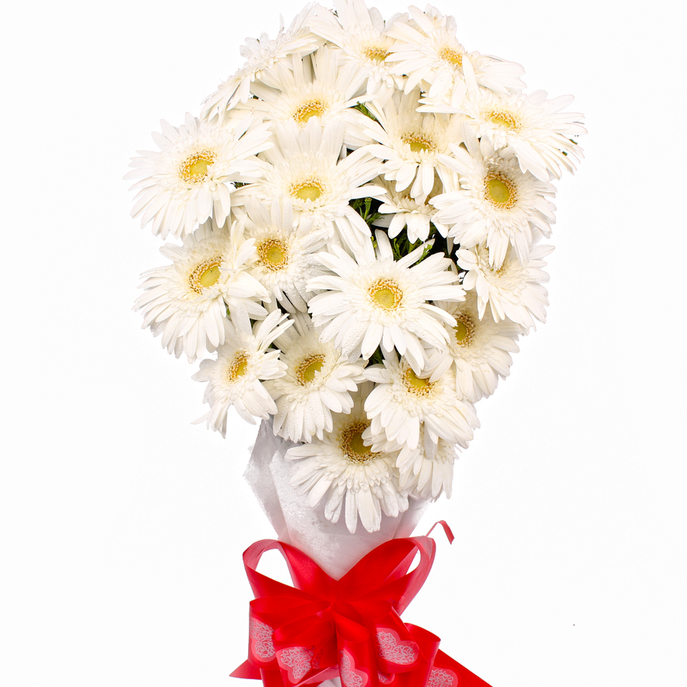 Bouquet of 20 White Gerberas with Tissue Wrapping