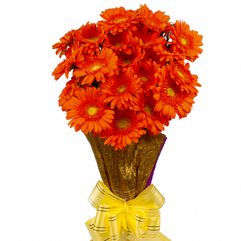 Twenty Orange Gerberas Hand Bouquet
