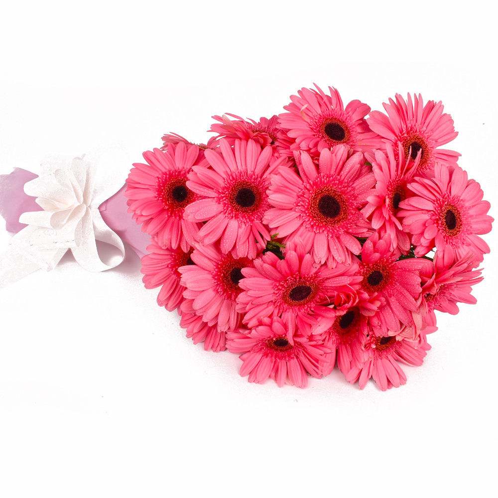 Twenty Pink Gerberas in Tissue Packing