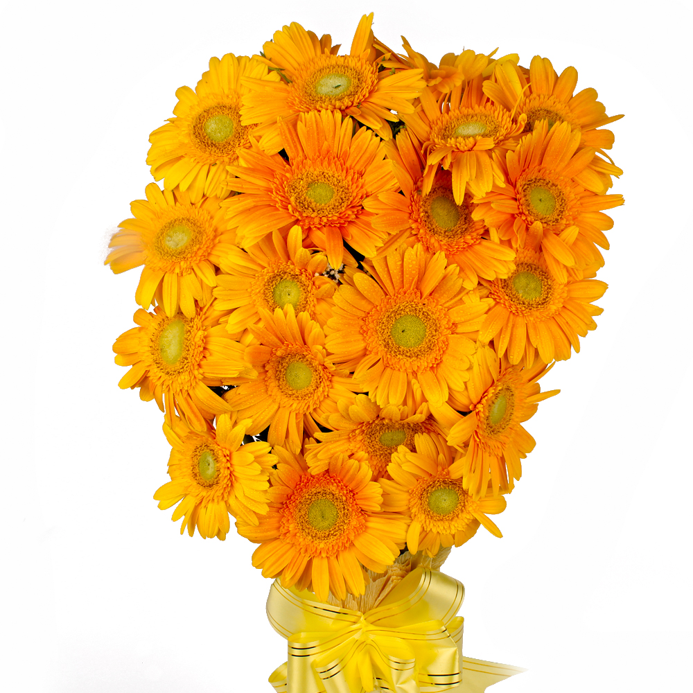 Twenty Yellow Gerberas Bouquet with Tissue Packing