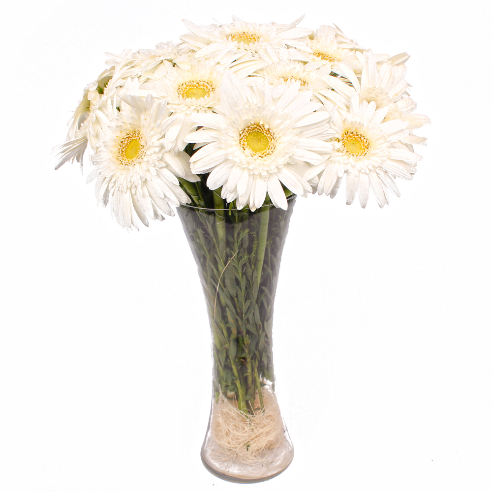 Fifteen White Gerberas in Glass Vase