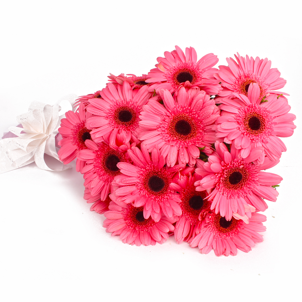Fifteen Pink Gerberas with Tissue Packing