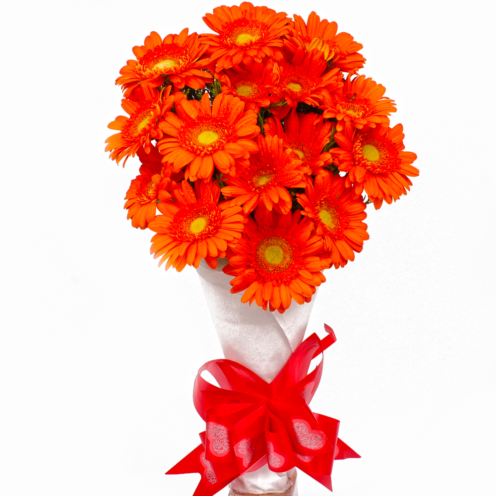 Bouquet of Fresh Fifteen Orange Gerberas Tissue Packed