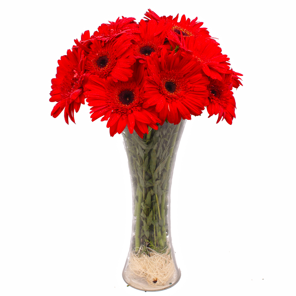 Ten Red Gerberas in Classic Vase