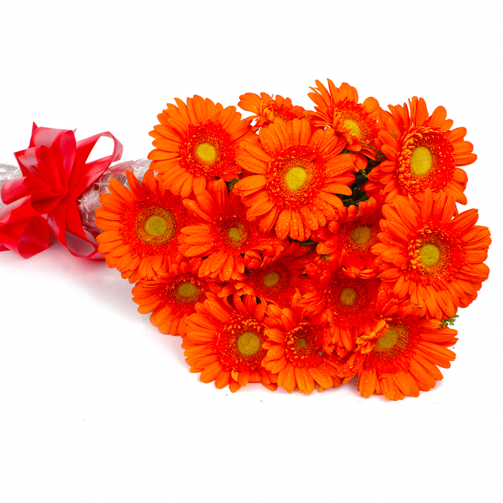 Bouquet of 15 Orange Gerberas with Cellophane Packing