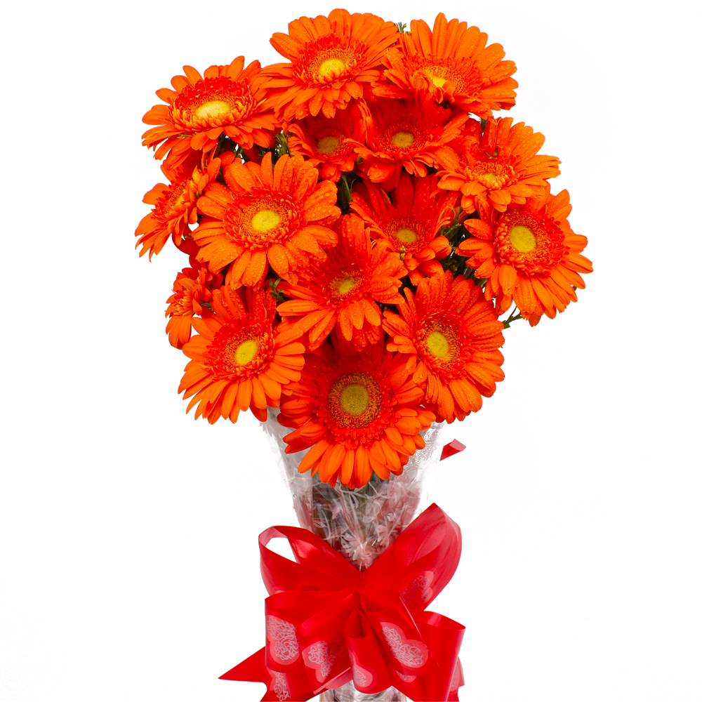 Bouquet of 15 Orange Gerberas with Cellophane Packing