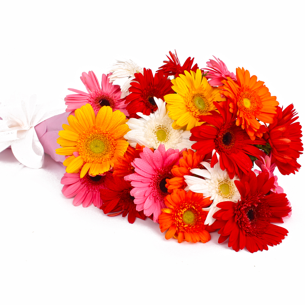 Multi Color Gerberas Tissue Wrapped