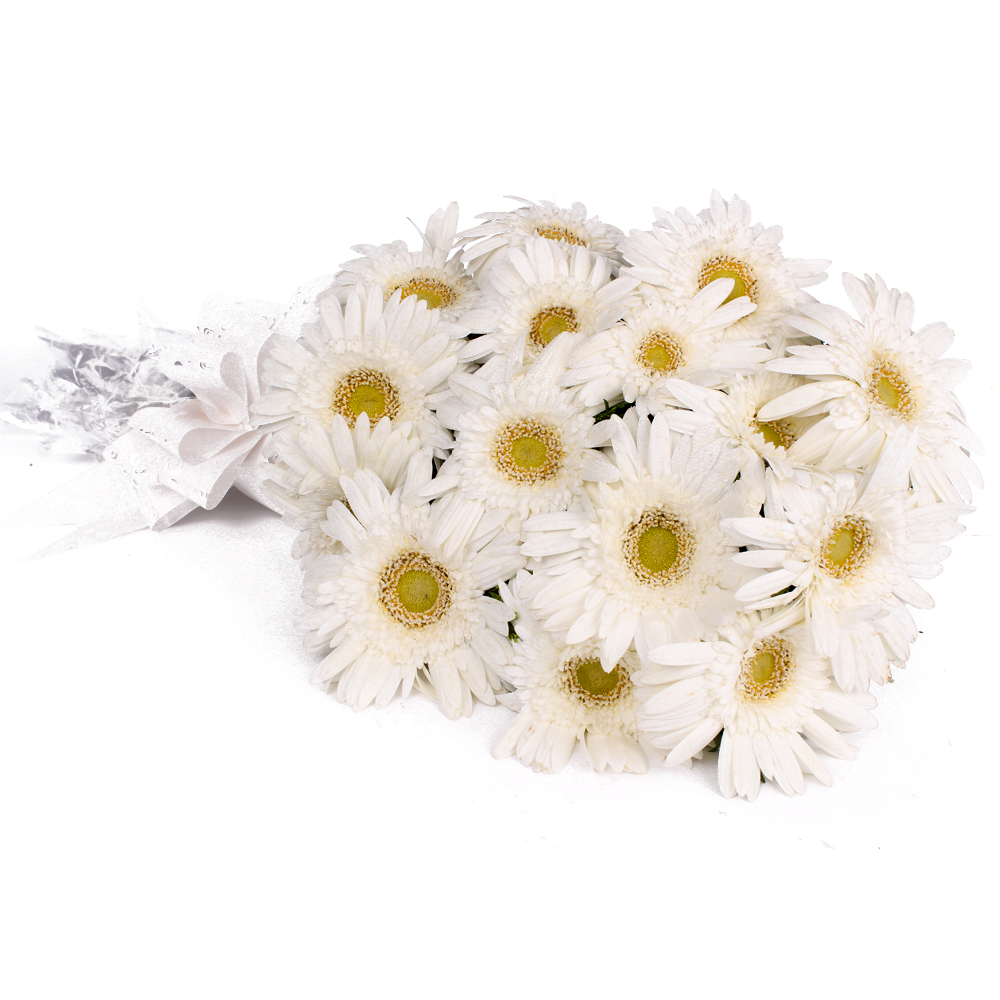 Fabulous Fifteen White Gerberas Bouquet with Tissue Packing