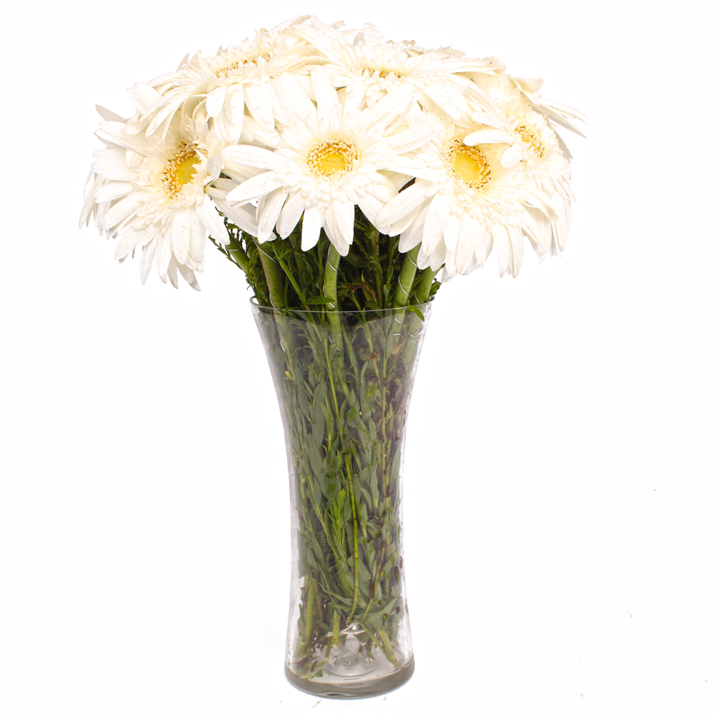 Classic Glass Vase with 12 White Gerberas