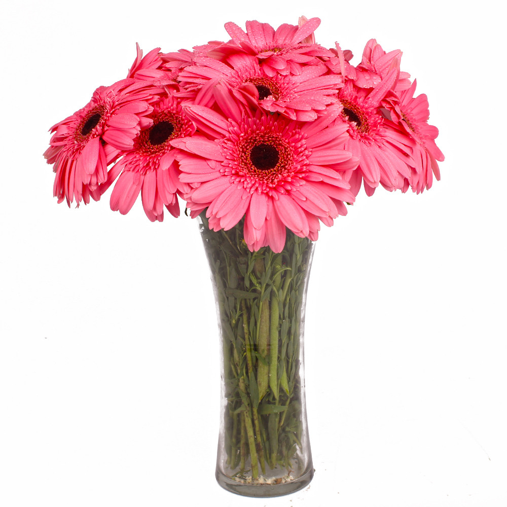 Glass Vase with 12 Pink Gerberas