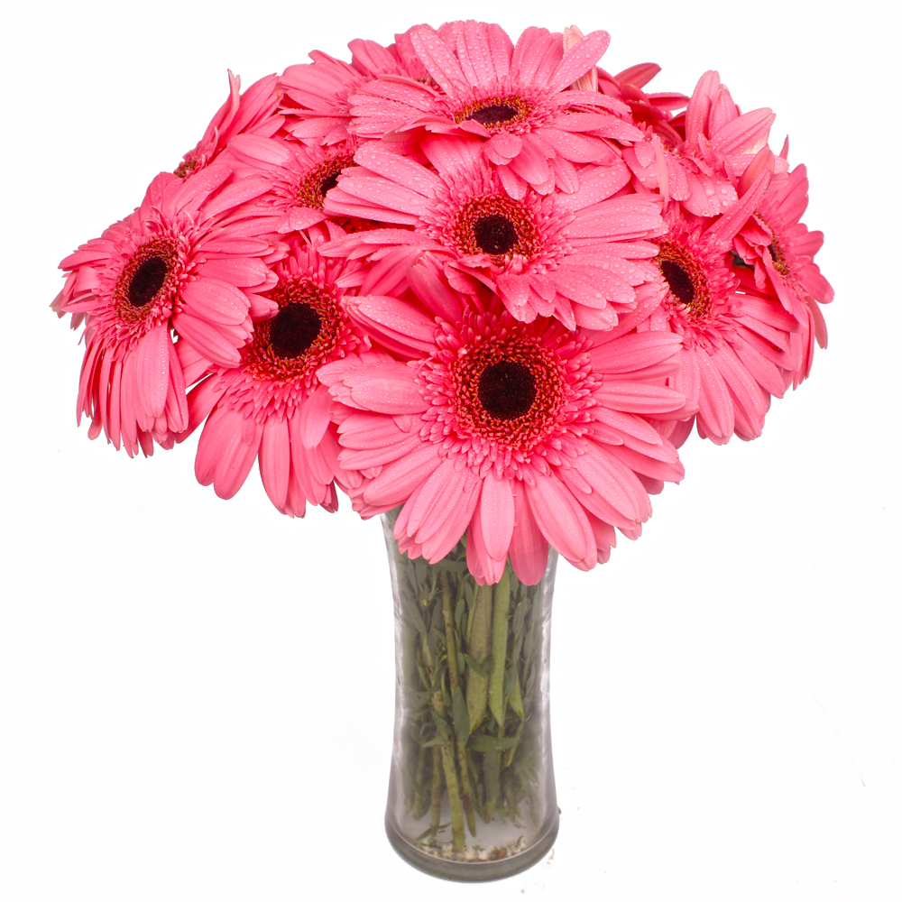 Glass Vase with 12 Pink Gerberas