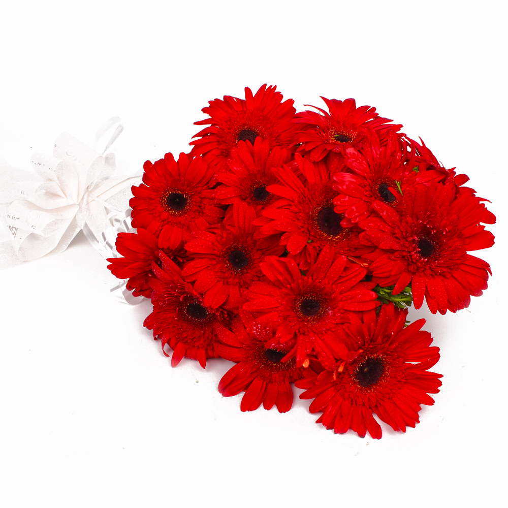 Fantastic Fifteen Red Gerberas Bouquet